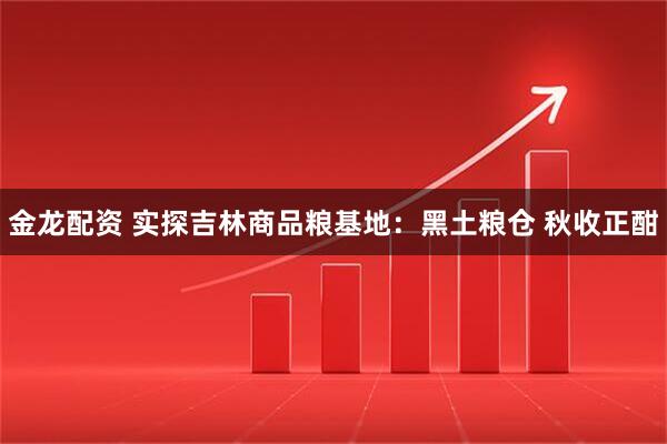 金龙配资 实探吉林商品粮基地:黑土粮仓 秋收正酣