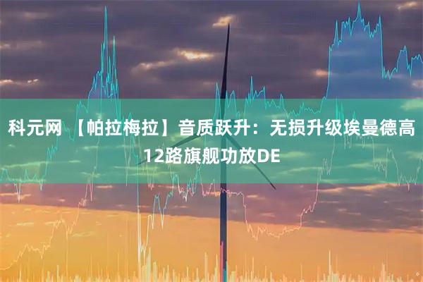 科元网 【帕拉梅拉】音质跃升：无损升级埃曼德高12路旗舰功放DE